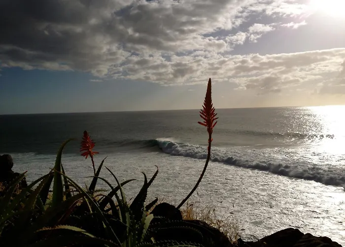 Slice Of Heaven- Dream * Jardim do Mar